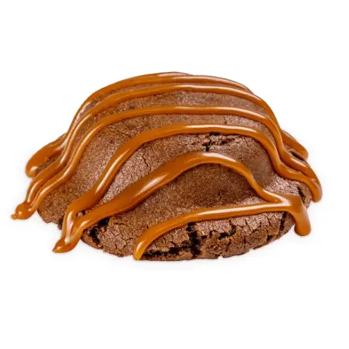 Brownie in Bee Cave
